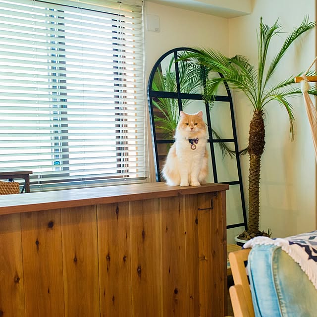 maruさんの実例写真