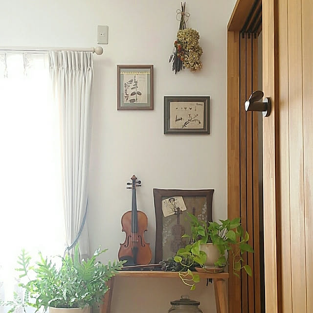 naive.coccoさんの実例写真