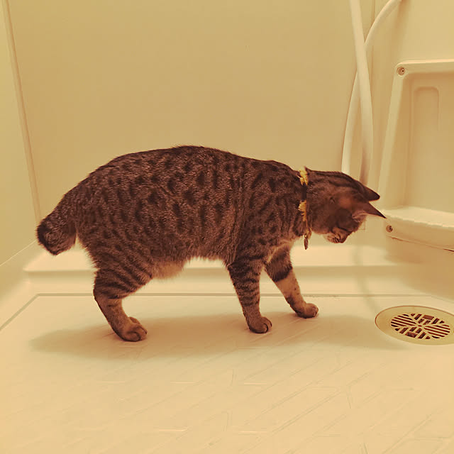 Mさんの実例写真