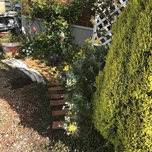 **yuu**さんの実例写真