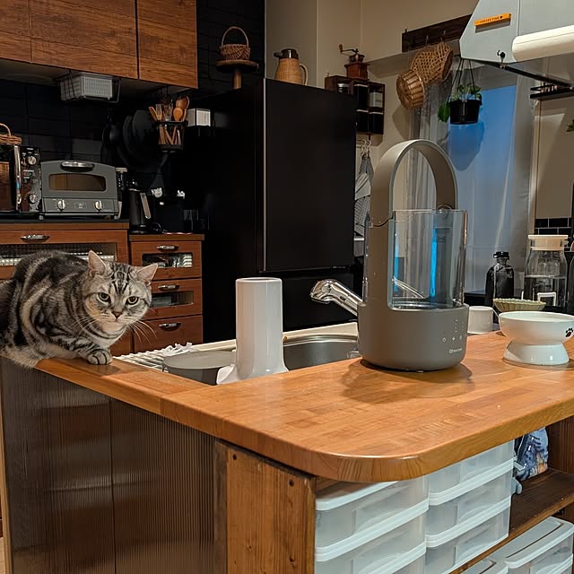 lovepeaceさんの部屋