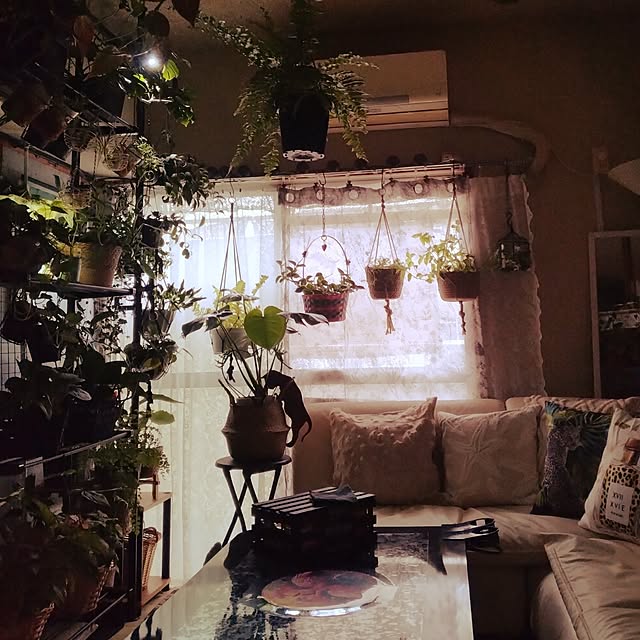 runaさんの実例写真