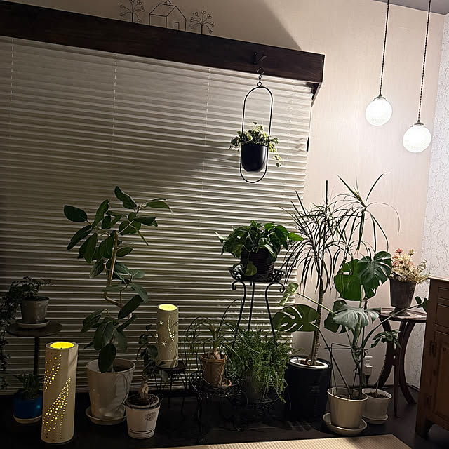yumirilさんの部屋