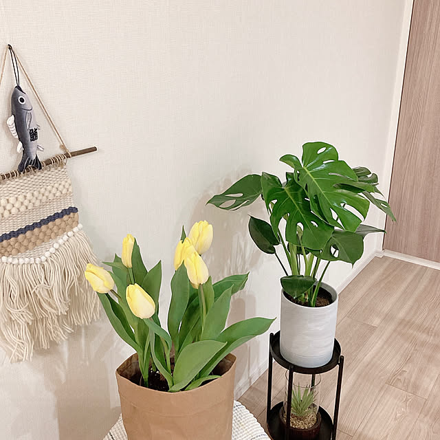 Lavinaさんの部屋