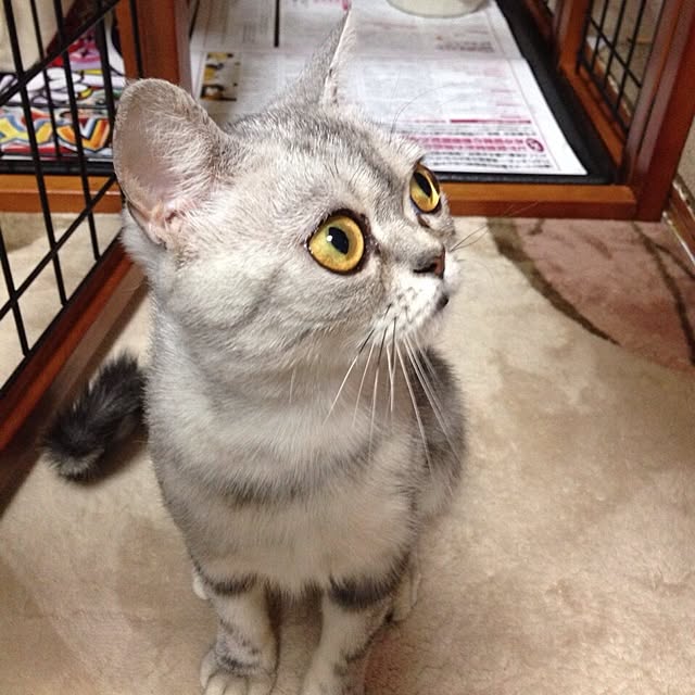 fuku48さんの実例写真