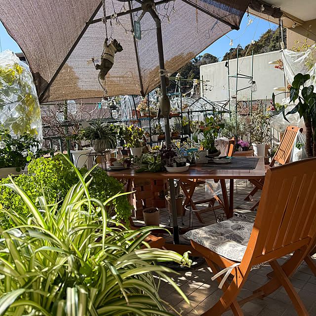 Aqettyさんの部屋