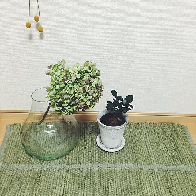 _a_aa__a_さんの実例写真