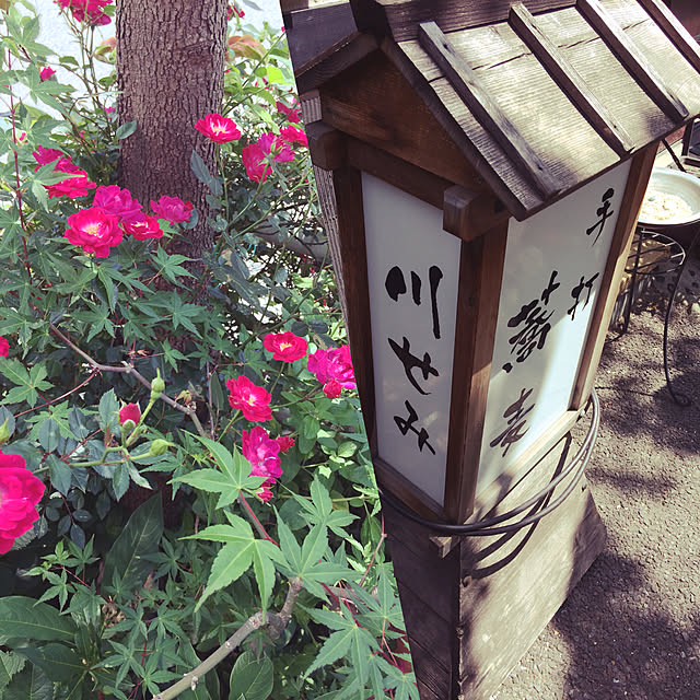 実例写真