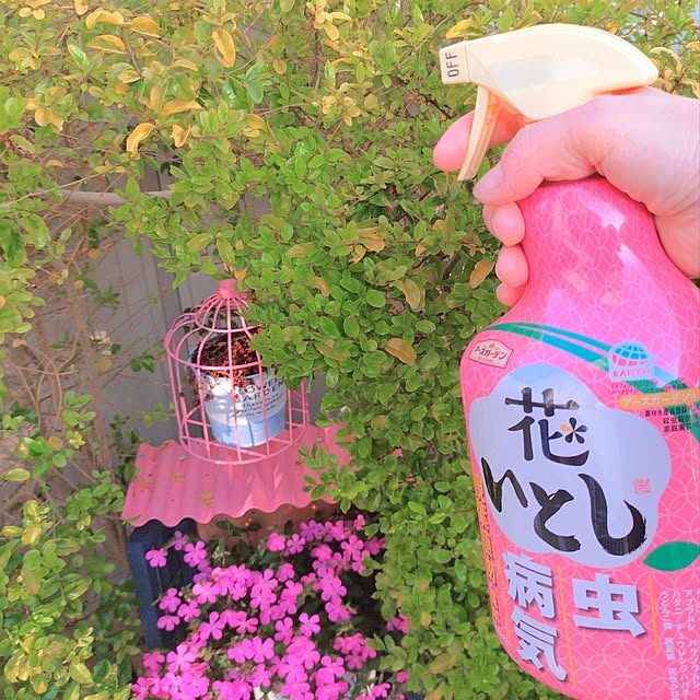 Miyumamaさんの実例写真