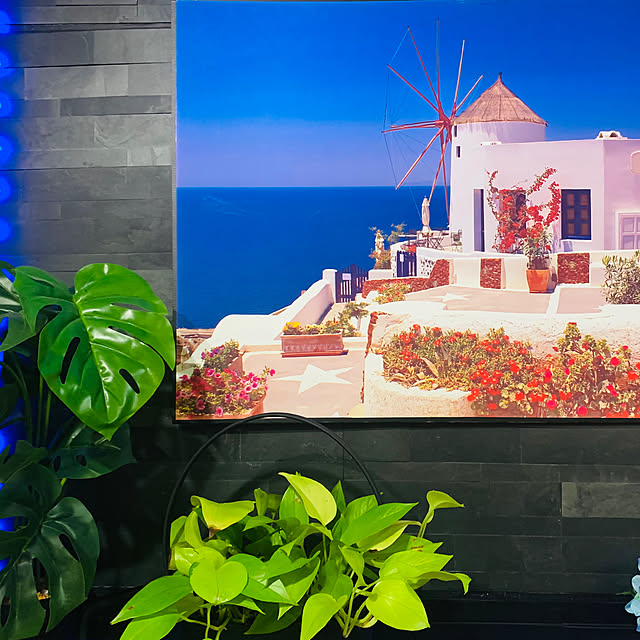 tututu0204さんの部屋