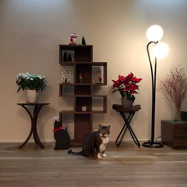 houenさんの実例写真