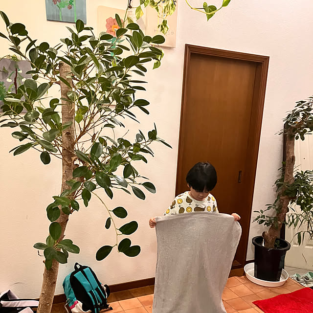 tomorinさんの実例写真