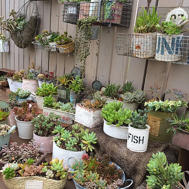 Rananさんの実例写真