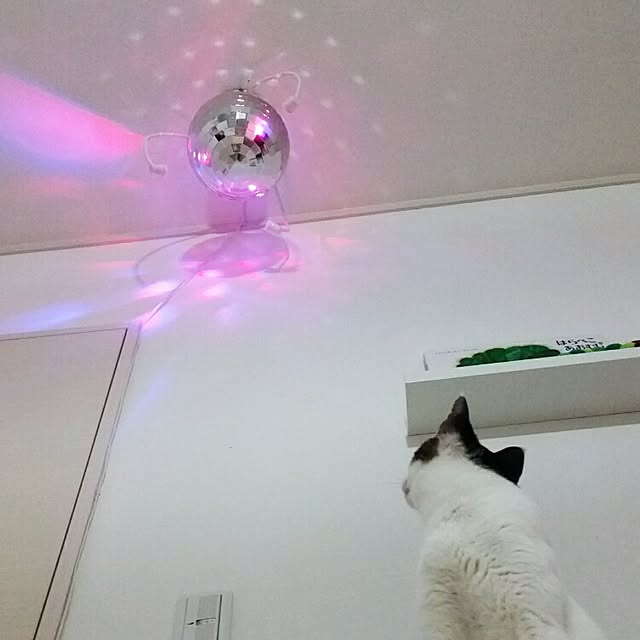 runayucoさんの実例写真