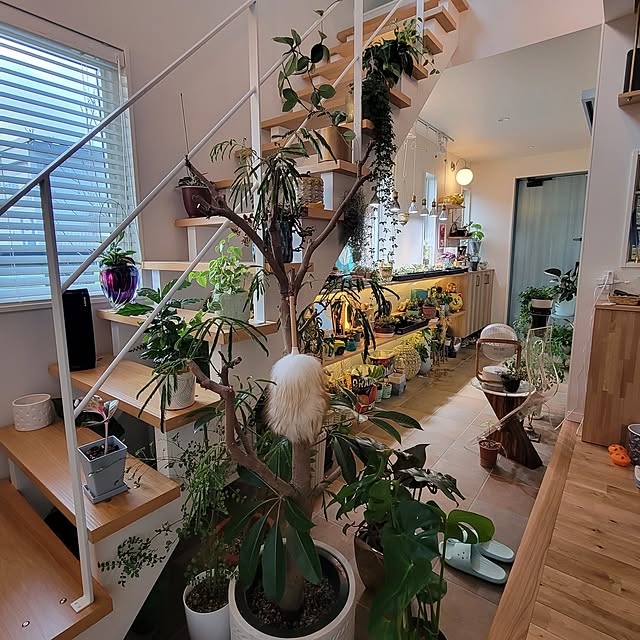 nonbiri_house_さんの部屋