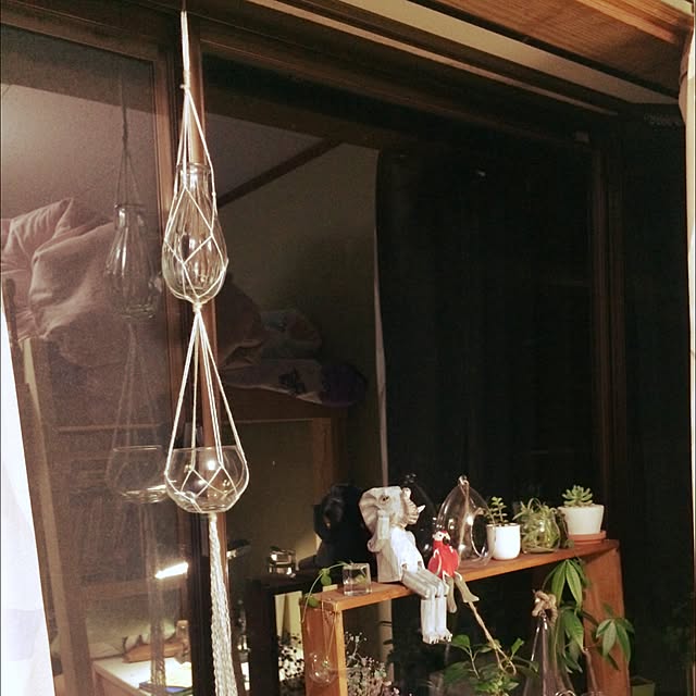 meguさんの実例写真