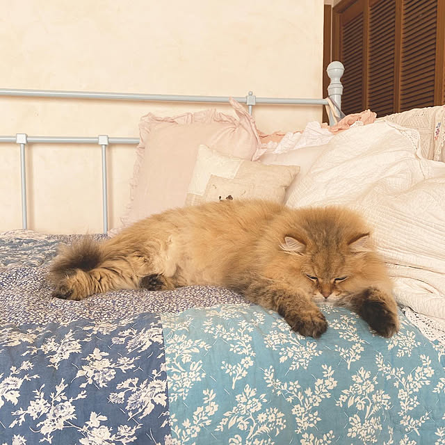 mogmogさんの実例写真