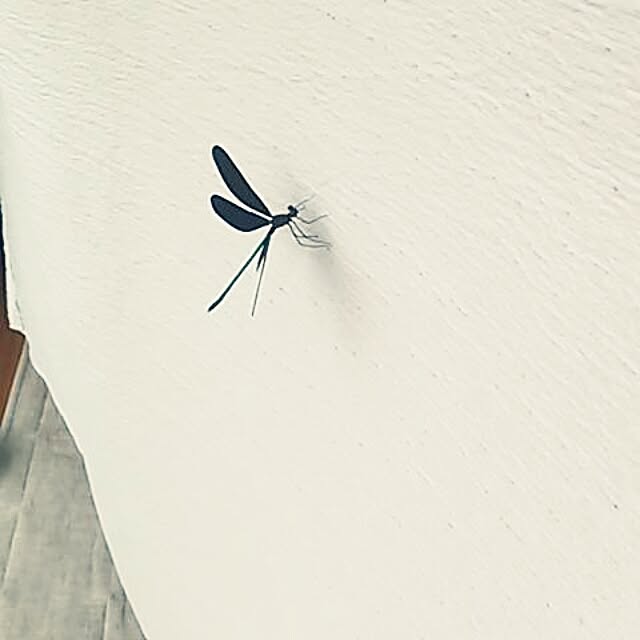 poemwalkさんの実例写真