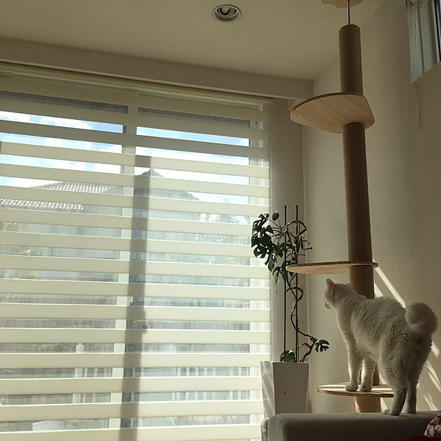 riechanさんの実例写真