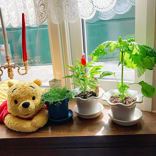 ilove_pooh3832さんの実例写真