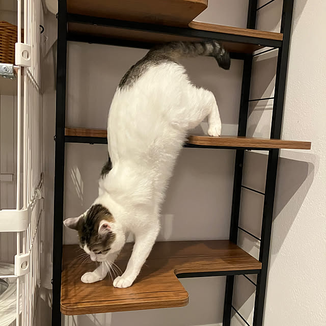 ayataroさんの部屋