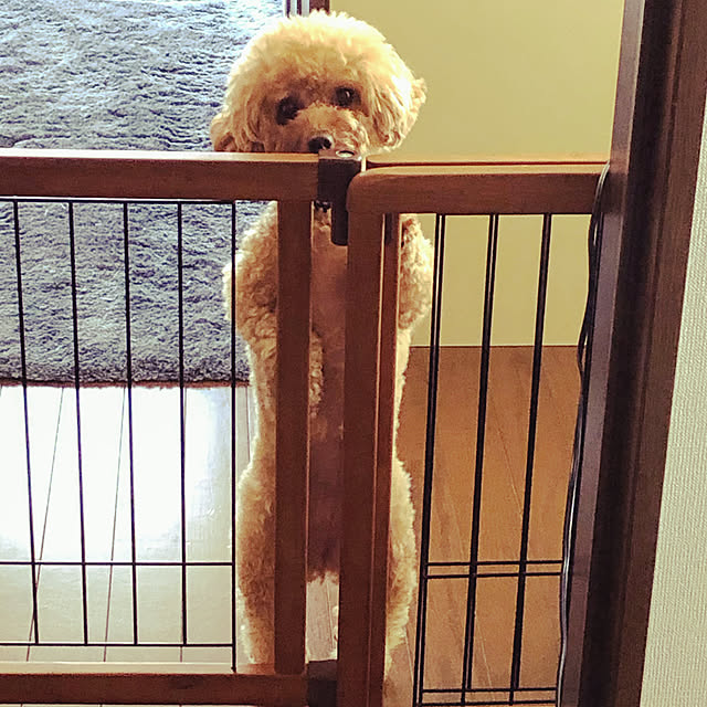 Naoさんの実例写真