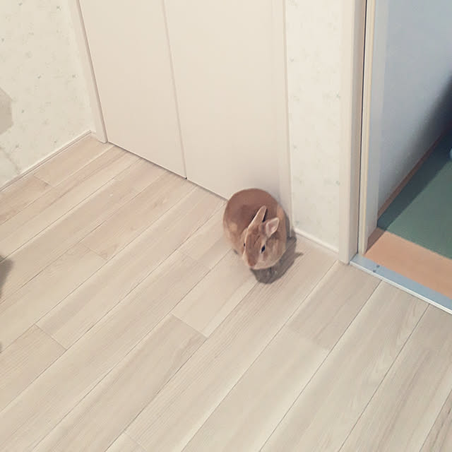 aiさんの実例写真