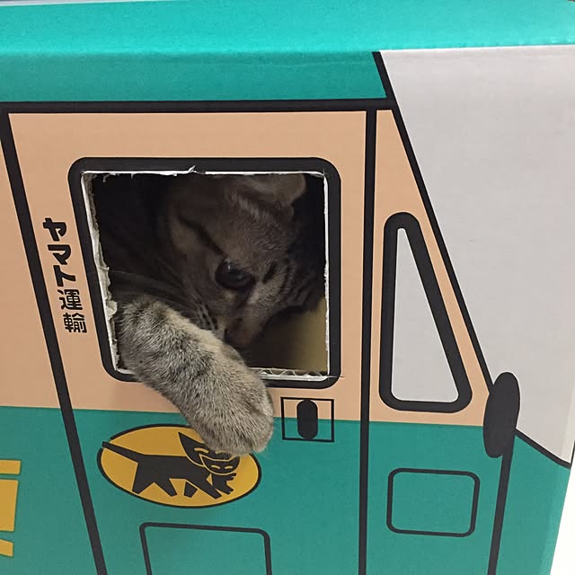 sayasさんの実例写真