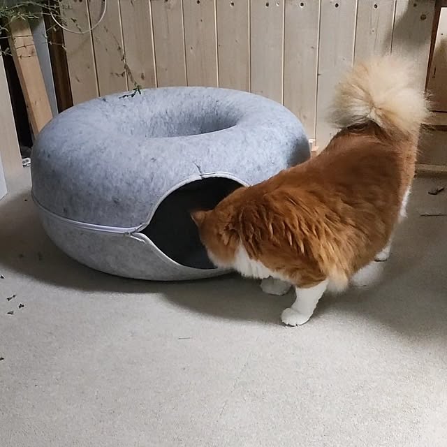 mori_6_12さんの部屋