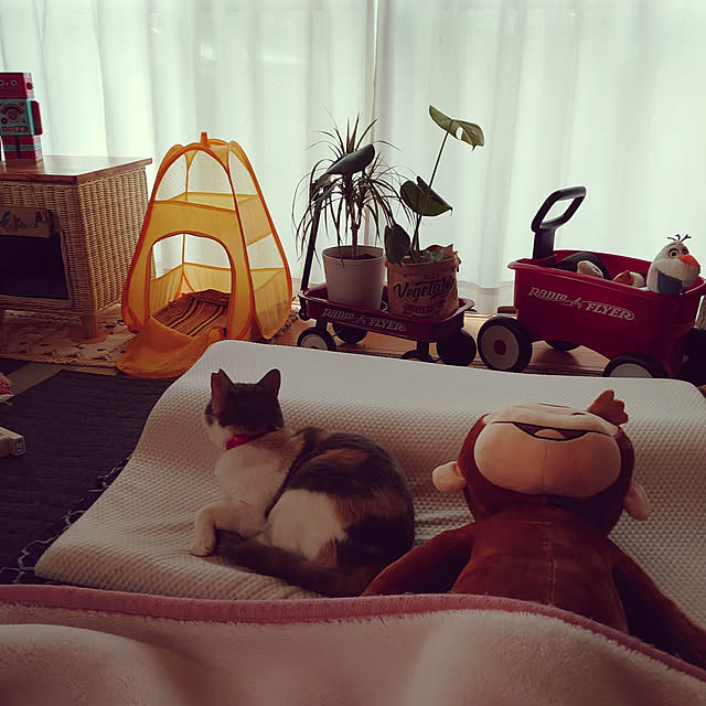 fukuさんの実例写真