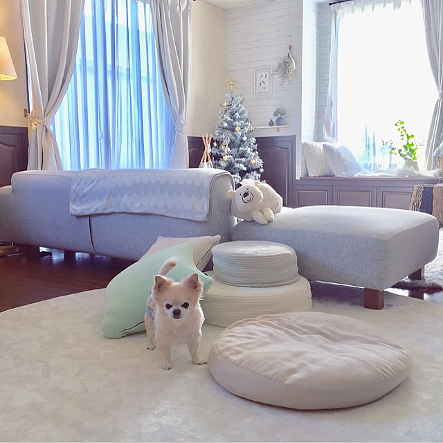 ponさんの実例写真