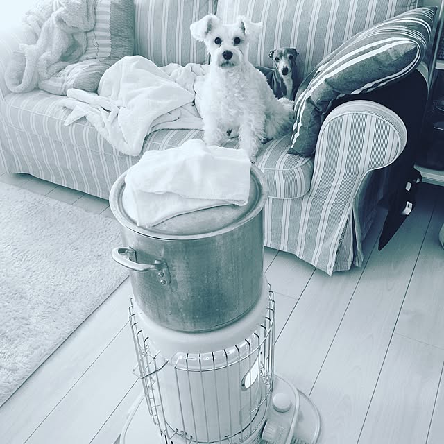 suzyさんの実例写真