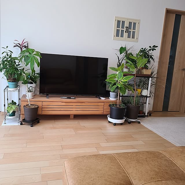 panさんの部屋