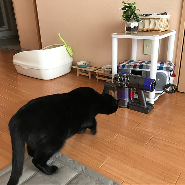 Machikoさんの実例写真