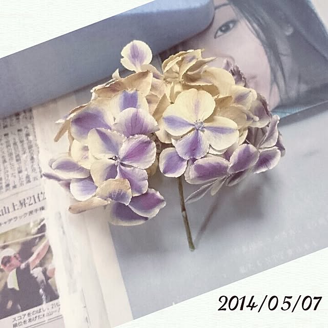 kira127さんの実例写真