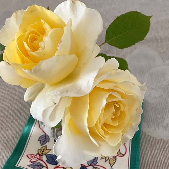 Grandmaさんの実例写真