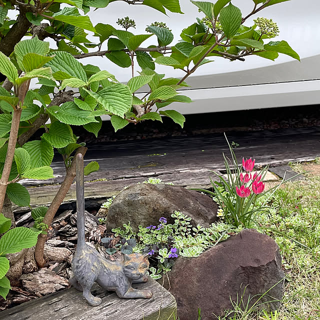 nobikoさんの部屋