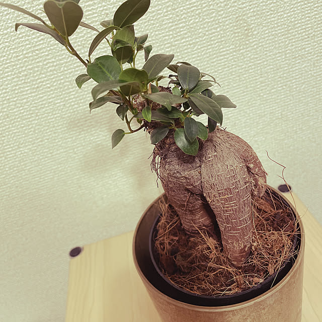 nishikenさんの実例写真