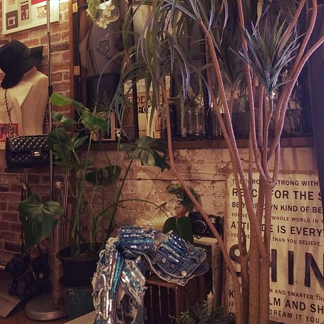 painmomoさんの実例写真