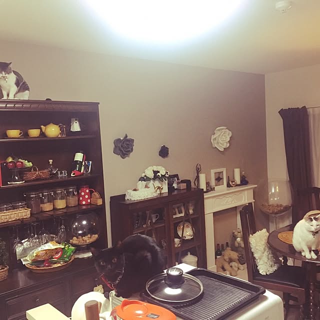 Mihoさんの実例写真