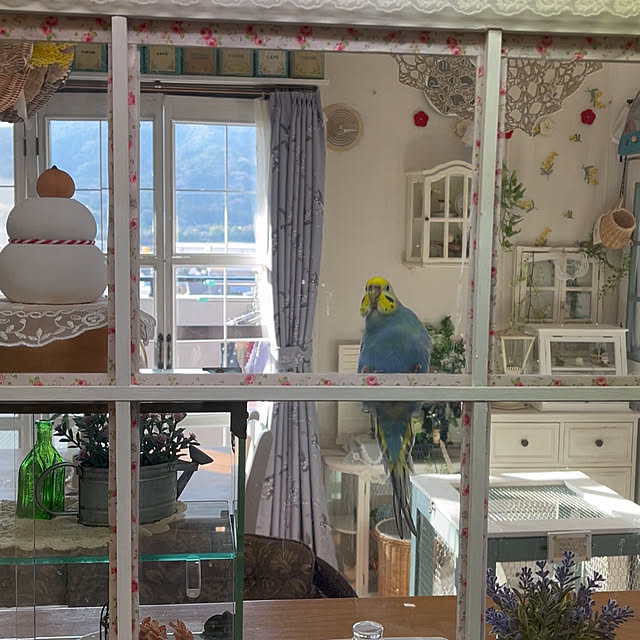 Atsukoさんの部屋