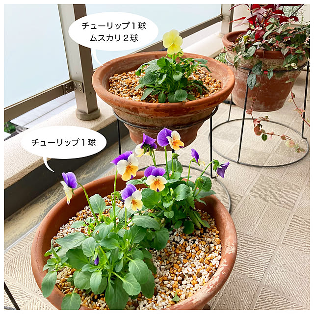 ksfioriさんの部屋