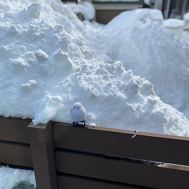 minatamaさんの実例写真
