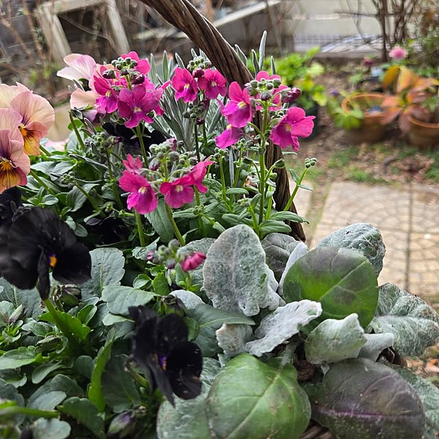 min_nimさんの部屋