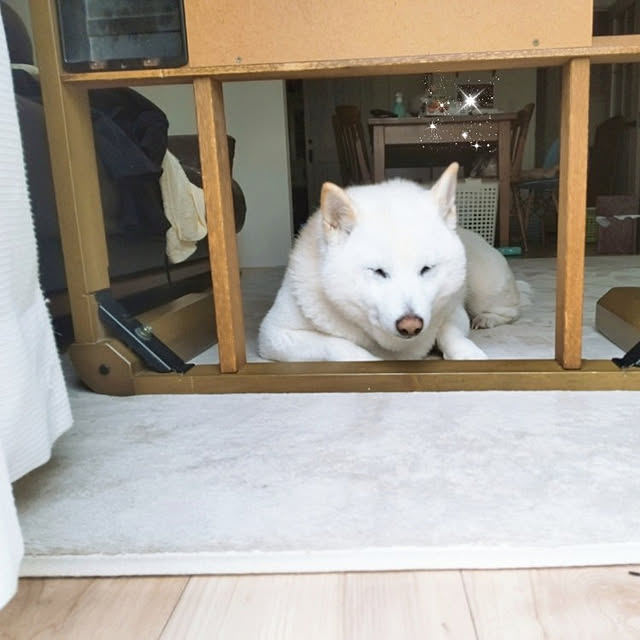 yukinkoさんの実例写真