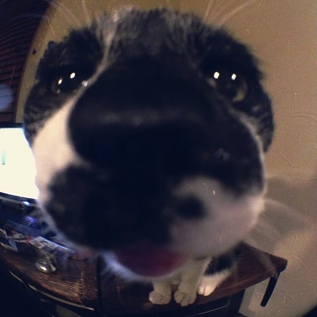 jnkaiさんの実例写真