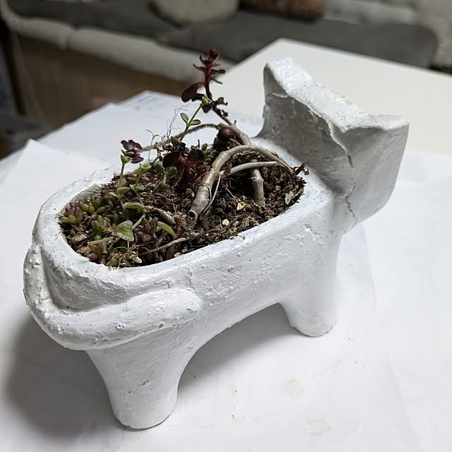 mori_6_12さんの部屋