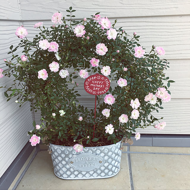 akubi28nさんの実例写真