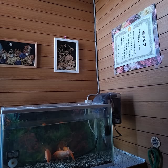NOAHさんの部屋