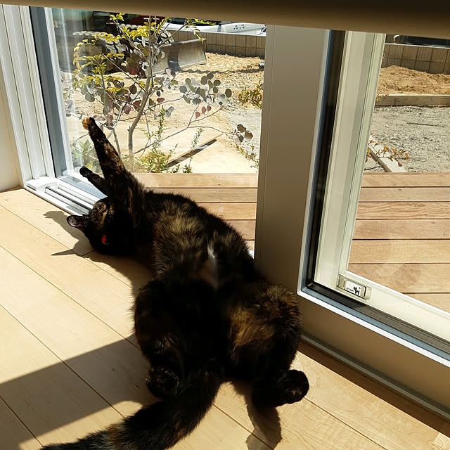 nanoさんの実例写真